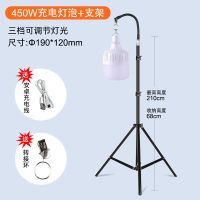 地摊灯架夜市LED灯泡应急灯摆摊露营充电野外钓鱼落地支架家用灯 超450W灯泡+2.1米支架+软管