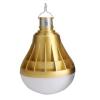 LED充电应急灯泡 停电应急灯家用充电灯泡夜市地摊照明节能球泡 320W(白光)土豪金款