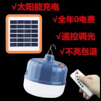 夜市摆摊灯防水LED充电灯泡家用停电应急灯无线照明球泡露营灯泡 遥控款350W+太阳能