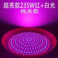 超亮12V地摊灯夜市灯led灯低压生鲜猪肉灯电瓶摆摊照明应急灯85V 超亮灯珠款235w 红白光5米电瓶夹子12v-85