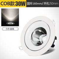 射灯led天花灯客厅吊顶背景墙牛眼孔灯洞灯筒灯3w5瓦7W12W猫眼灯 COB 30W白光开孔【13-14.