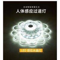 2021年新款人体感应灯led红外水晶过道灯灯楼道楼梯入户吸顶灯 暗装（白+彩光）带光控