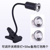 乌龟晒背灯加热保温太阳灯爬宠龟缸灯灯泡杀菌补钙全光谱鱼缸配件 灯光可调晒背灯黑+备用50W灯泡2个