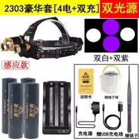 感应蝎子灯捕蝎灯抓蝎超亮强光头灯可充电紫光照捉抓找逮多功能 感应调焦紫白双光源蝎子灯(4电2充)