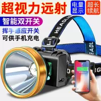 头灯强光可充电头戴式超亮钓鱼抓黄鳝知了龙虾探照黄蓝感应照夜漂 100W黄光(照猎专用)带感应双锂电