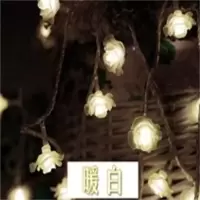 彩灯串LED玫瑰花小彩灯闪灯节日婚庆房间春节新年装饰灯圣诞装饰 暖白 10米100灯（插电款）