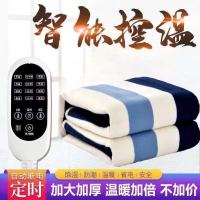 电热毯双人双控调温加厚大单人宿舍电褥子家用安全防水无辐射 加厚毛毯面料智能定时档 长2米宽1.8米双控[花型随机]