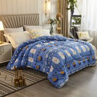 [特价处理]空调被夏凉被单人学生春秋被芯双人薄被宿舍夏季被子 波浪兔 200*230cm10斤