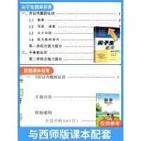 尖子生题库二年级下册数学西师版 2年级下数学思维训练 课堂同步教材全解练习题一课一练课时作业本 数学培优教材必刷专项训天