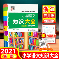 2021版小学语文知识大全全国通用浙江专版人教版部编版小学生一二三四五六年级小升初总复习资料包宝典大集结基础知识学霸笔记