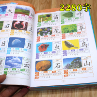 幼儿学前识字大王书2280字幼小衔接学前常用汉字小学生字书儿童认字书籍看图识字拼音笔顺幼儿园中班大班教材4-5-6岁宝宝