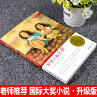 新蕾出版社屋顶上的小孩正版升级版三四年级课外书必读班主任推荐国际大奖儿童文学小说系列小学生阅读书籍6-12周岁故事书儿童