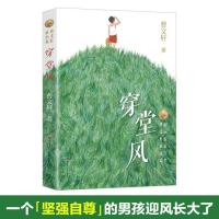 穿堂风正版曹文轩 曹文轩系列儿童文学 草房子青铜葵花作者著 6-8-9-12周岁小学生课外阅读物书籍 少年儿童小说故事图