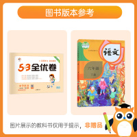 53全优卷六年级下册语文人教部编版 小学五三天天练六年级下册语文试卷单元期中期末测试卷