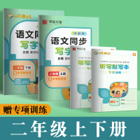 一年级二年级三字帖上册下册人教版课本同步语文生字笔画笔顺楷书硬笔书法铅笔练字本初学者每日一练小学生儿童练习写字描红练字帖