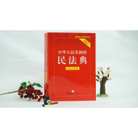 民法典 中华人民共和国民法典2020年正版新修订版 (实用问题版) 重点条文注解释义条文解读问题解答2021适用