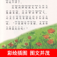 贵州省清北阅读一年级指定全套4册 小彗星旅行记徐刚没头脑和不高兴笨狼的故事注音版了不起的狐狸爸爸正版阅读课外书必读 打卡