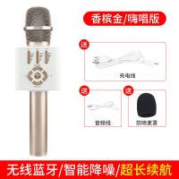 话筒音响一体麦克风手机无线蓝牙全民k歌电视家庭KTV儿童卡拉ok 香槟金-送充电线+音频线+麦罩