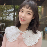 假领子女百搭假领刺绣娃娃领蕾丝斗篷镂空装饰领子花边外搭小披肩 大领子白