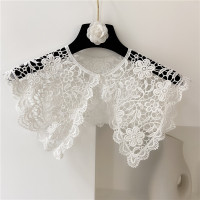 新款日系蕾丝脖子假领子女百搭花边装饰披肩小脖子护镂空神器 蔷薇 白