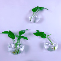 墙壁装饰花盆挂墙水培绿萝花瓶创意墙上挂壁挂鱼缸墙面装饰品挂件 组合套餐(小、中、大) 透明