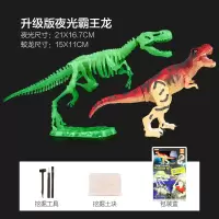 恐龙化石霸王龙考古挖掘玩具 儿童手工diy骨架模型拼装挖宝藏男孩 霸王龙化石+霸王龙模型[荧光版]