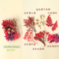 永生花diy组合花盒材料包手工蜡烛幼儿园相框画手工团扇沙龙干花 B款—大红系列