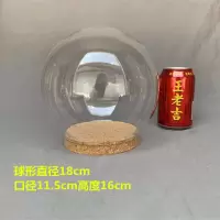 永生花玻璃罩展示盒创意防尘罩摆件DIY软木塞玻璃罩3D石膏手模 球体(φ18cm)+软木塞
