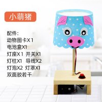 stem科技小制作台灯diy小发明环保科技学生实验手工材料拼装玩具 纸台灯小萌猪全套器材