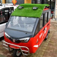 电动三轮车顶防晒网遮阳网四轮电轿隔热蓬电瓶铝膜板防雨草坪网蓬 仿草坪气泡膜大灯款1.1*2.2