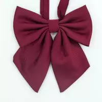 [9.9R]jk制服女日系学生赤羽根领花领结斜角纯色 酒红羽根 均码