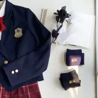 校供 轻奢少女系 徽章 JK制服袜 中高筒瘦腿过膝袜 黑色(不过膝)52CM 均码