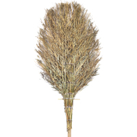 户外环卫物业小区庭院公园街道清洁大号带把竹扫把大笤帚马路清扫 木柄大号5斤