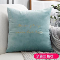 北欧抱枕客厅沙发靠垫床头大靠枕椅靠背办公室腰枕午睡神器抱枕套 金线绣-淡雅兰 55x55cm(枕套+枕芯)