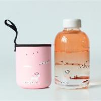 韩国可爱大容量汽水瓶玻璃杯女学生创意潮流透明水壶花茶随手杯子 600ml 渐变麋鹿 同款杯套+杯刷