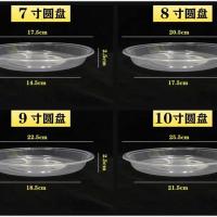 一次性盘子圆盘水果盘烧烤盘菜盘塑料碟加厚透明家用烧烤野餐供应 10椭圆盘 5包(50个)