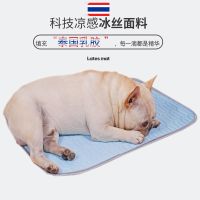 冰丝凉席夏季宠物凉席狗凉席可水洗宠物垫藤席降温泰迪夏坐垫 蓝色乳胶冰丝垫 XXXL号100*75CM