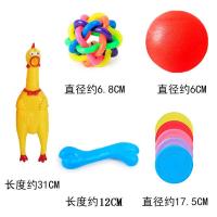 宠物狗狗玩具耐咬磨牙泰迪小狗尖叫鸡惨叫鸡大型犬发声骨头狗玩具 耐咬五件套(尖叫鸡16cm)