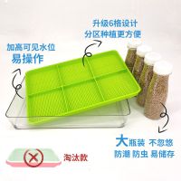 猫草种子水培猫草套装小麦猫薄荷粉猫咪用品去毛球狗草狗狗吃的草 升级透明/6格(可见水位)+4瓶种子