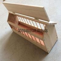 鸽子用品用具塑料鸽子食槽鸽子喂食器信鸽下料槽实木防撒食槽鸽具 1米加厚桐木