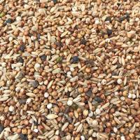 斑鸠 小鸽子幼鸽粮食 鸽子饲料 无玉米无豌豆鸽粮 5斤 斑鸠 小鸽子 幼鸽鸽粮 5斤装