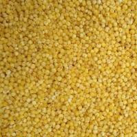 [卖疯了]虎皮牡丹玄风鹦鹉鸟食饲料鹦鹉鸟粮带壳黄谷黄雀食 优质小米 5斤装