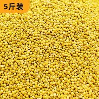 虎皮玄凤牡丹食物粮食新黄谷子中小型鹦鹉饲料鸟粮食带壳 鹦鹉黄谷子[5斤装]