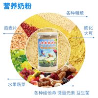 鹦鹉奶粉雏鸟乳料虎皮牡丹小太阳玄凤和尚通用奶粉手养育雏鸟饲料 一瓶500克送全套工具