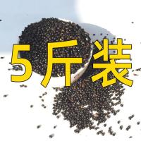 [新花椒籽子]鸽子用粮食用饲料保健砂幼鸽粮鸽子粮食观赏鸽信 五斤
