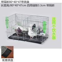 加粗鸽子笼子鸽子用品用具鸽子笼大号鸡笼家用鸽子养殖笼子 带隔断80*40*47cm 带粪盘+食具+脚垫+2个草窝