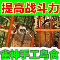 营养提性壮膘饲料手工画眉鸟食画眉鸟饲料唱鸟料斗鸟料500克