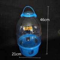 信鸽用品鸽具鸽子饮水器赛鸽水壶鸽子用具鸽子用水槽鸟用透明水壶 优质透明水壶12升