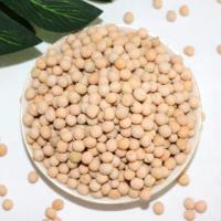 新鲜白豌豆生豌豆干豌豆喂鸽子粮食农家豌豆可发芽鸽子饲料 二十斤 绿豌豆