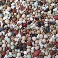 鸽子饲料 有玉米鸽粮白豌豆高粱赛飞鸟食保健砂鸽子粮食一件 AAA级无玉米幼鸽粮 9.6斤装更划算